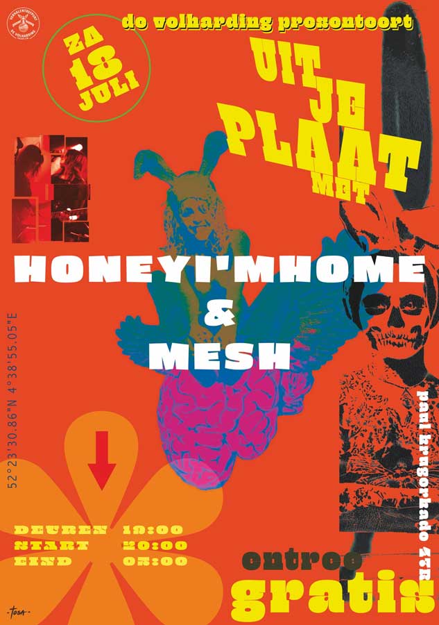 Honey I’m Home + Mesh