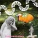 Kunstlijn Pre-event 6 november: Lilith en Wired to Ignore